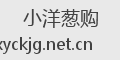 小洋葱购