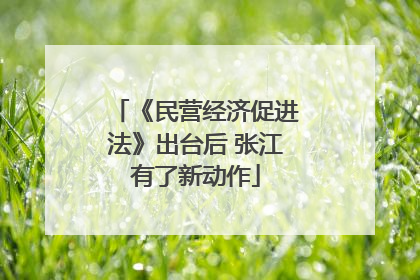 《民营经济促进法》出台后 张江有了新动作