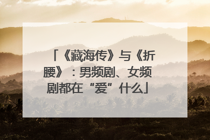 《藏海传》与《折腰》：男频剧、女频剧都在“爱”什么