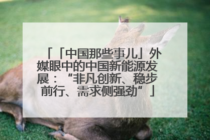 「中国那些事儿」外媒眼中的中国新能源发展：“非凡创新、稳步前行、需求侧强劲”