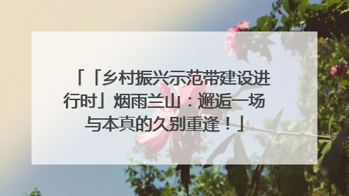 「乡村振兴示范带建设进行时」烟雨兰山：邂逅一场与本真的久别重逢！