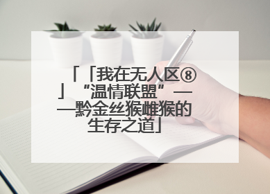 「我在无人区⑧」“温情联盟”——黔金丝猴雌猴的生存之道