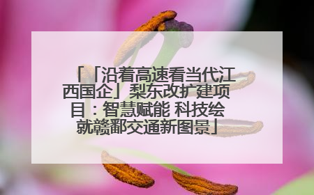 「沿着高速看当代江西国企」梨东改扩建项目：智慧赋能 科技绘就赣鄱交通新图景
