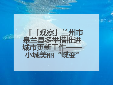 「观察」兰州市皋兰县多举措推进城市更新工作——小城美丽“蝶变” 居民幸福升级