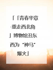 「青春华章·重走西北角」博物馆丑东西为“神马”爆火