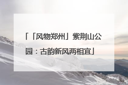 「风物郑州」紫荆山公园：古韵新风两相宜