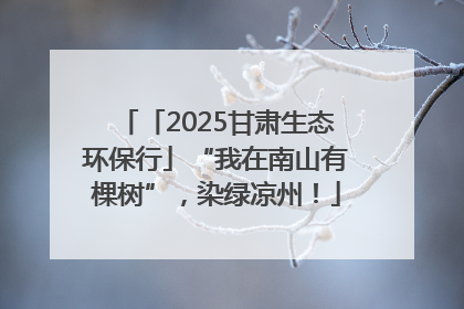 「2025甘肃生态环保行」“我在南山有棵树”，染绿凉州！
