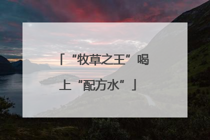 “牧草之王”喝上“配方水”