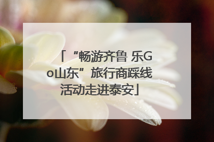 “畅游齐鲁 乐Go山东”旅行商踩线活动走进泰安
