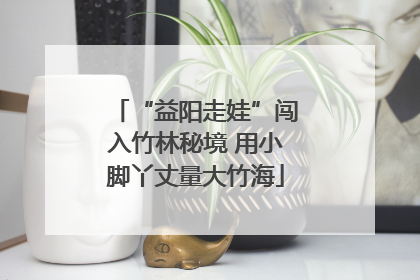 “益阳走娃”闯入竹林秘境 用小脚丫丈量大竹海