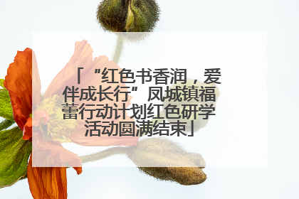 “红色书香润，爱伴成长行”凤城镇福蕾行动计划红色研学活动圆满结束