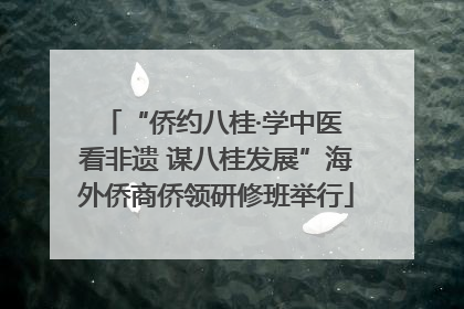 “侨约八桂·学中医 看非遗 谋八桂发展”海外侨商侨领研修班举行