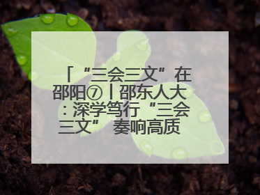 “三会三文”在邵阳⑦丨邵东人大：深学笃行“三会三文” 奏响高质量发展最强音