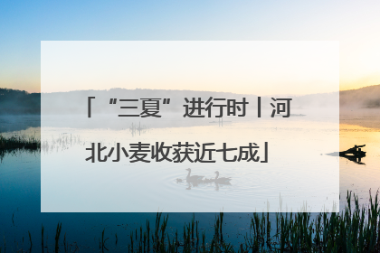 “三夏”进行时丨河北小麦收获近七成