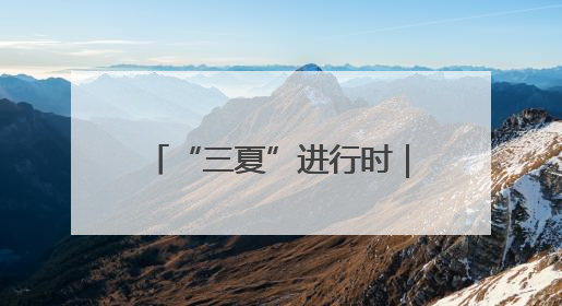 “三夏”进行时｜黄河口奏响丰收乐章——全市小麦进入大面积收获高峰期