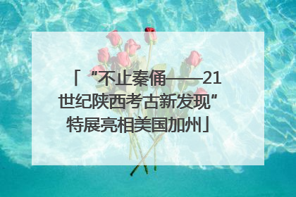 “不止秦俑——21世纪陕西考古新发现”特展亮相美国加州
