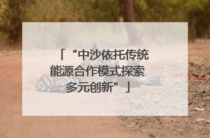 “中沙依托传统能源合作模式探索多元创新”