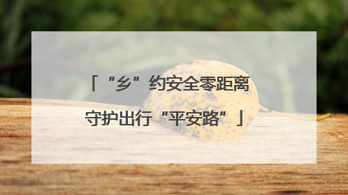 “乡”约安全零距离 守护出行“平安路”