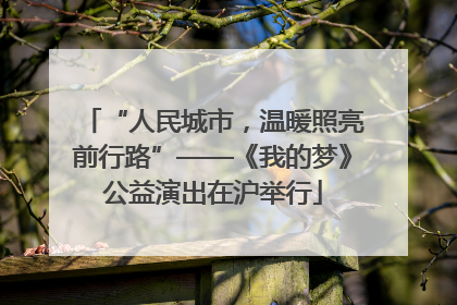 “人民城市，温暖照亮前行路”——《我的梦》公益演出在沪举行