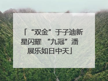 “双金”于子迪新星闪耀 “九冠”潘展乐如日中天