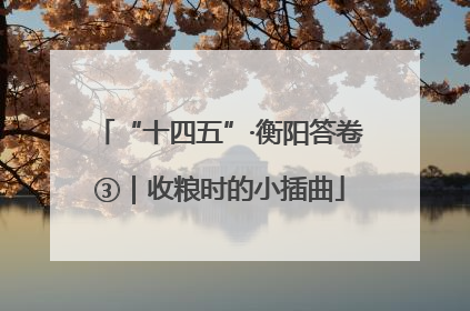 “十四五”·衡阳答卷③｜收粮时的小插曲