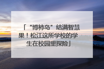 “博柿岛”结满智慧果！松江这所学校的学生在校园里探险