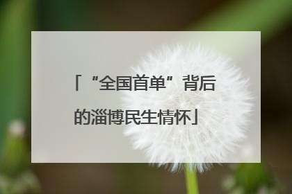 “全国首单”背后的淄博民生情怀