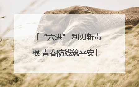 “六进” 利刃斩毒根 青春防线筑平安