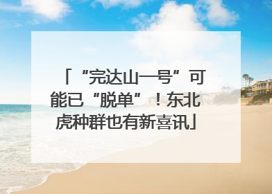 “完达山一号”可能已“脱单”！东北虎种群也有新喜讯
