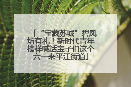 “宝藏苏城”碧凤坊有礼！新时代青年榜样喊话宝子们这个六一来平江街道