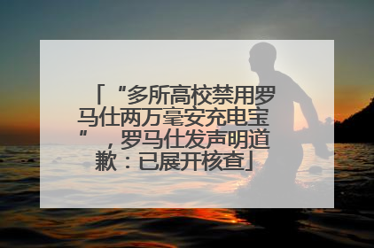 “多所高校禁用罗马仕两万毫安充电宝”，罗马仕发声明道歉：已展开核查