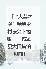 “大蒜之乡”精算乡村振兴幸福账——成武县大田集镇见闻