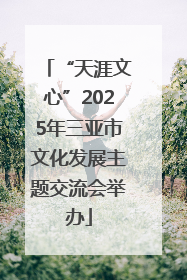 “天涯文心”2025年三亚市文化发展主题交流会举办