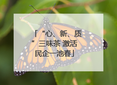 “心、新、质”三味茶 激活民企一池春