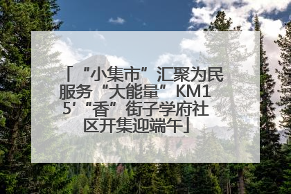 “小集市”汇聚为民服务“大能量”KM15′“香”街子学府社区开集迎端午