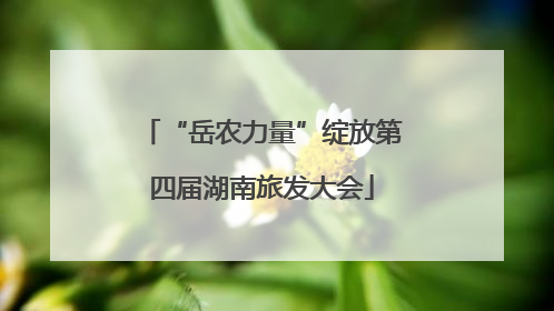 “岳农力量”绽放第四届湖南旅发大会