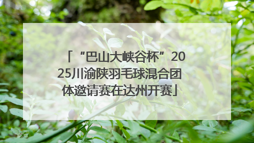 “巴山大峡谷杯”2025川渝陕羽毛球混合团体邀请赛在达州开赛