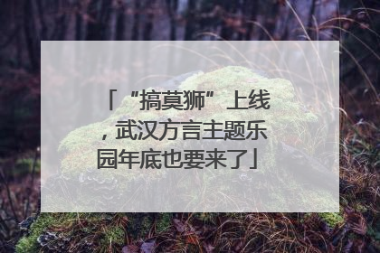“搞莫狮”上线，武汉方言主题乐园年底也要来了
