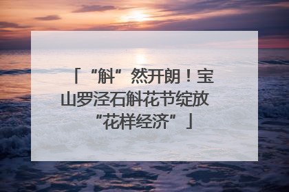 “斛”然开朗！宝山罗泾石斛花节绽放“花样经济”