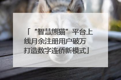 “智慧熊猫”平台上线月余注册用户破万 打造数字连侨新模式