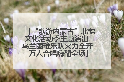 “歌游内蒙古”北疆文化活动季主题演出 乌兰图雅乐队火力全开 万人合唱嗨翻全场