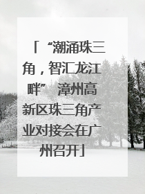 “潮涌珠三角，智汇龙江畔” 漳州高新区珠三角产业对接会在广州召开