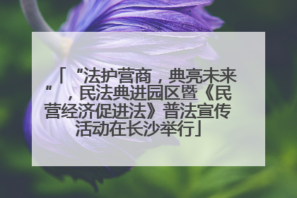 “法护营商，典亮未来”，民法典进园区暨《民营经济促进法》普法宣传活动在长沙举行