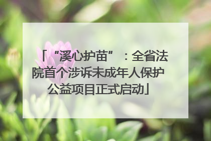 “溪心护苗”：全省法院首个涉诉未成年人保护公益项目正式启动
