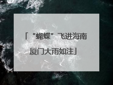 “蝴蝶”飞进海南 厦门大雨如注