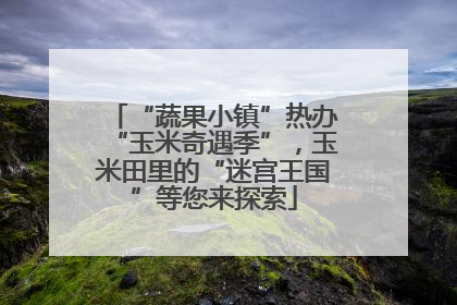 “蔬果小镇”热办“玉米奇遇季”，玉米田里的“迷宫王国”等您来探索