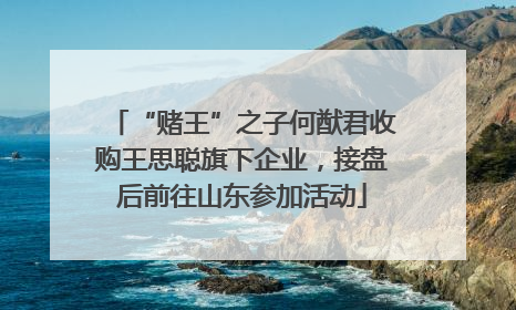 “赌王”之子何猷君收购王思聪旗下企业，接盘后前往山东参加活动