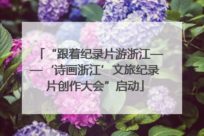 “跟着纪录片游浙江——‘诗画浙江’文旅纪录片创作大会”启动