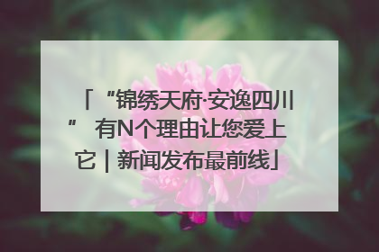 “锦绣天府·安逸四川” 有N个理由让您爱上它｜新闻发布最前线