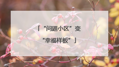 “问题小区”变“幸福样板”